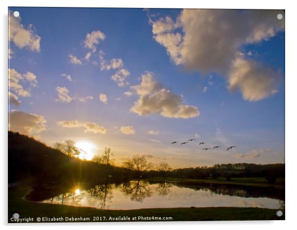 Geese over Sarratt Water meadow at Sunset Acrylic by Elizabeth Debenham
