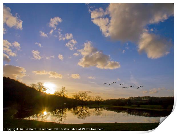 Geese over Sarratt Water meadow at Sunset Print by Elizabeth Debenham