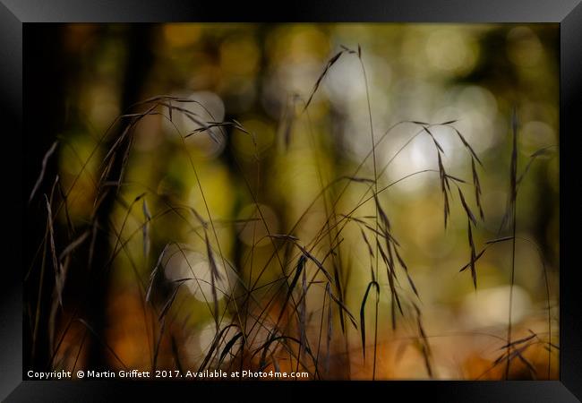 Autumn Grass Framed Print by Martin Griffett