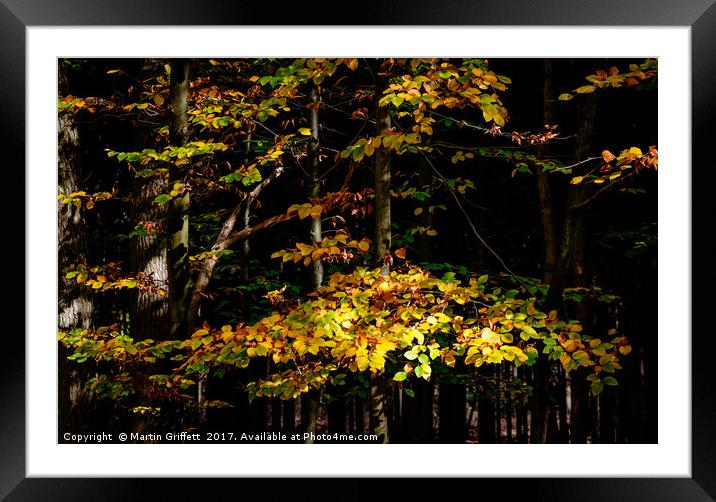 Autumn Leaves Framed Mounted Print by Martin Griffett