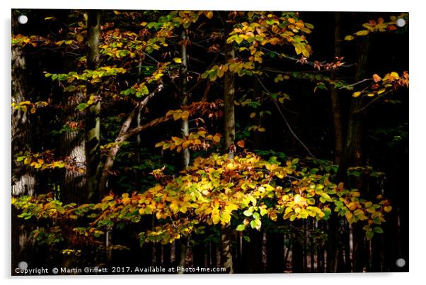 Autumn Leaves Acrylic by Martin Griffett