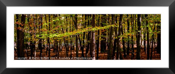 Autumn Leaves Panorama Framed Mounted Print by Martin Griffett