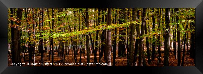 Autumn Leaves Panorama Framed Print by Martin Griffett