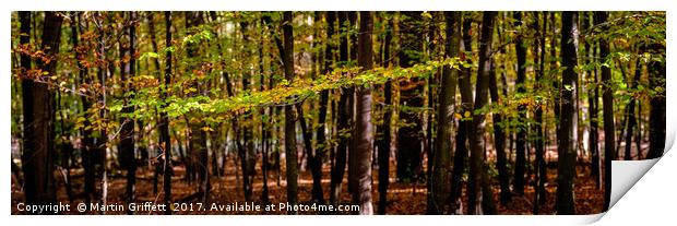 Autumn Leaves Panorama Print by Martin Griffett