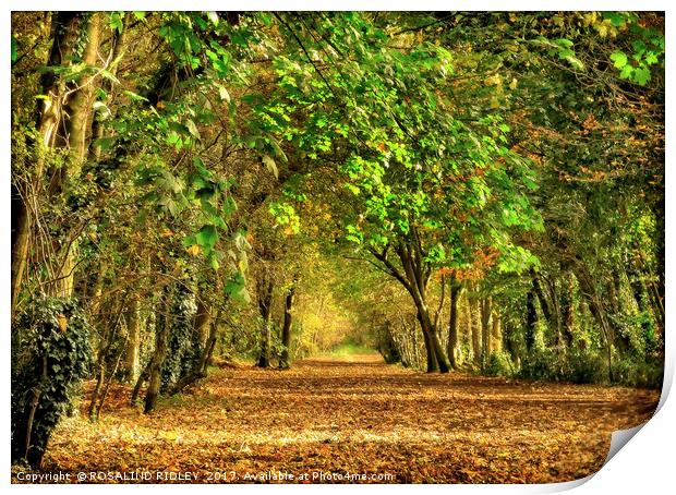 "Take a walk through the Autumn leaves" Print by ROS RIDLEY