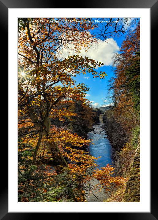 Autumnal High Force Framed Mounted Print by Reg K Atkinson