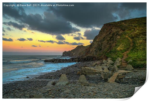 Coastal Foot Path  Print by Dave Bell