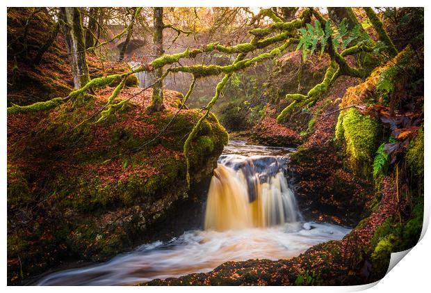 Middle Fall in the Fall Print by Gareth Burge Photography