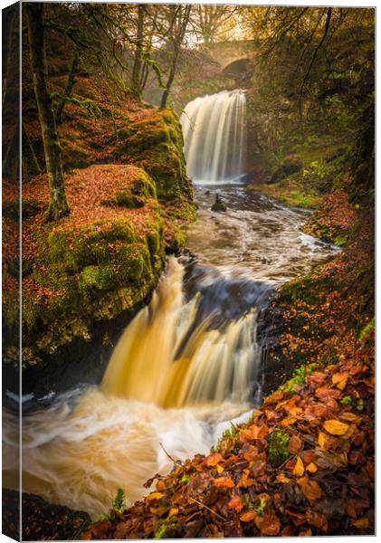 Red Carpet River Canvas Print by Gareth Burge Photography