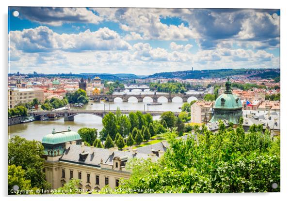 Bridges of Prague Acrylic by Ian Woolcock