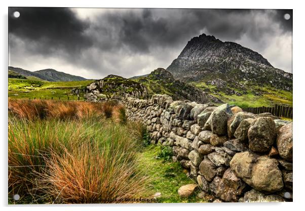 Tryfan Mountain East Face Wales Acrylic by Adrian Evans