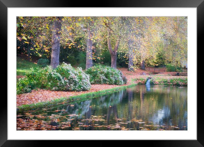 St Fagans Castle lake, Autumn Framed Mounted Print by Richard Downs