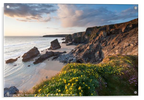 Bedruthan Steps Cornwall England UK Acrylic by Ian Woolcock