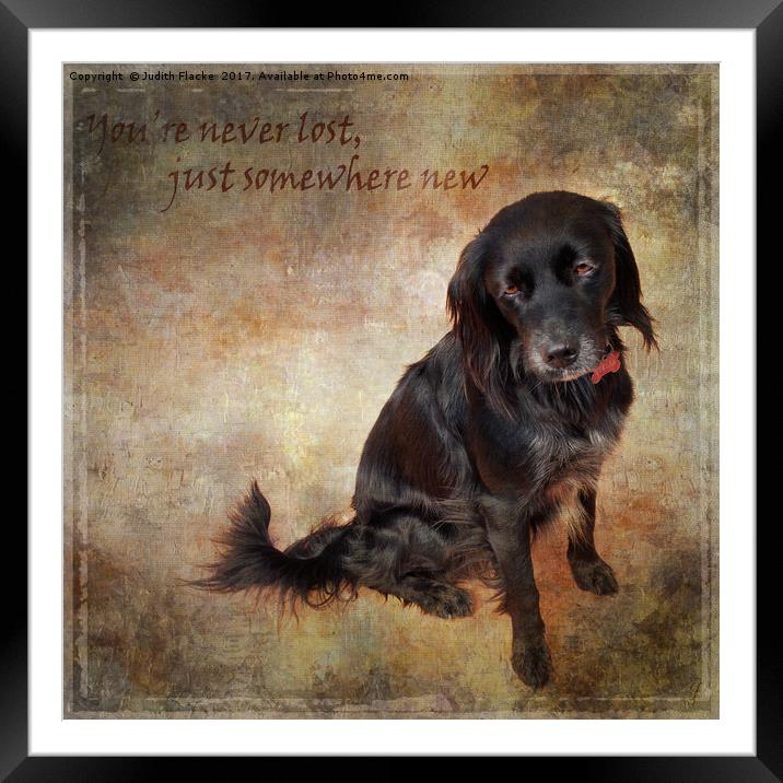 You're never lost, just somewhere new Framed Mounted Print by Judith Flacke