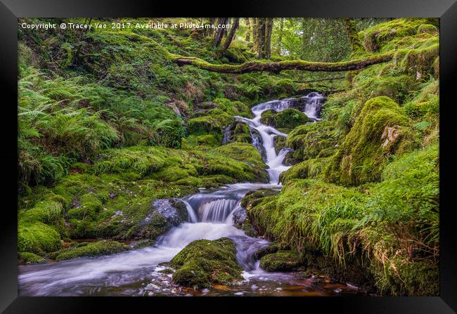 Venford Brook - Dartmoor Framed Print by Tracey Yeo