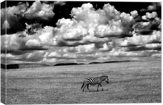 Serengeti sky Canvas Print by Luigi Scuderi
