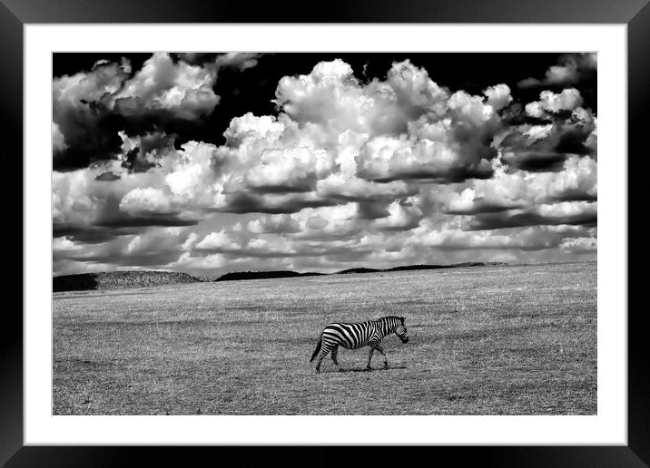 Serengeti sky Framed Mounted Print by Luigi Scuderi