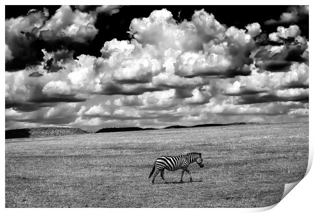 Serengeti sky Print by Luigi Scuderi