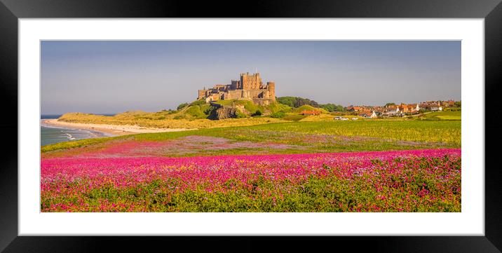 The Castle and Campion Framed Mounted Print by Naylor's Photography