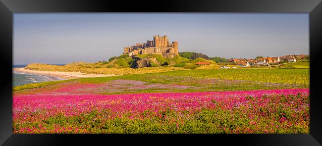 The Castle and Campion Framed Print by Naylor's Photography