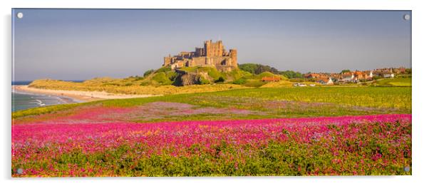 The Castle and Campion Acrylic by Naylor's Photography