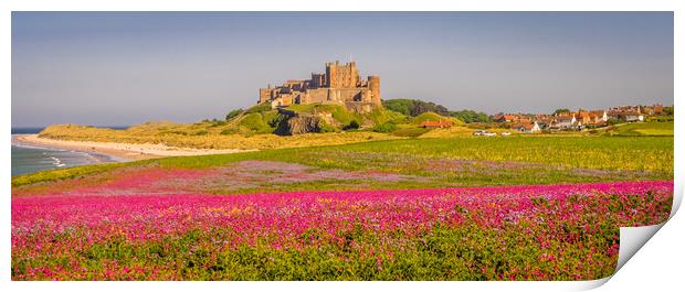 The Castle and Campion Print by Naylor's Photography