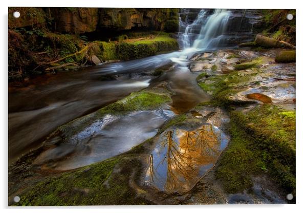 Blaen y Glyn waterfall Acrylic by Leighton Collins