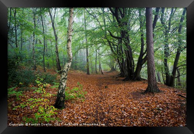 Oldbury Hill Framed Print by Kentish Dweller