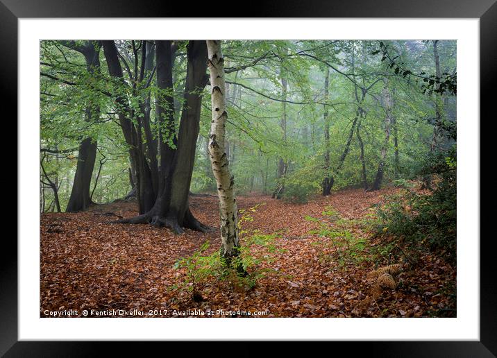 Oldbury Hill in the Mist Framed Mounted Print by Kentish Dweller