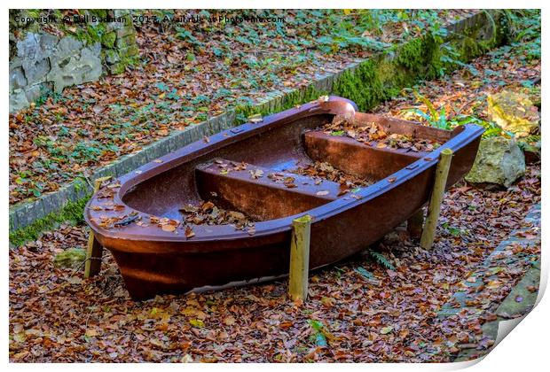 Old rusty boat at Chard Reservoir Somerset Uk Print by Will Badman