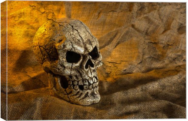 Skull And Sackcloth Canvas Print by Steve Purnell