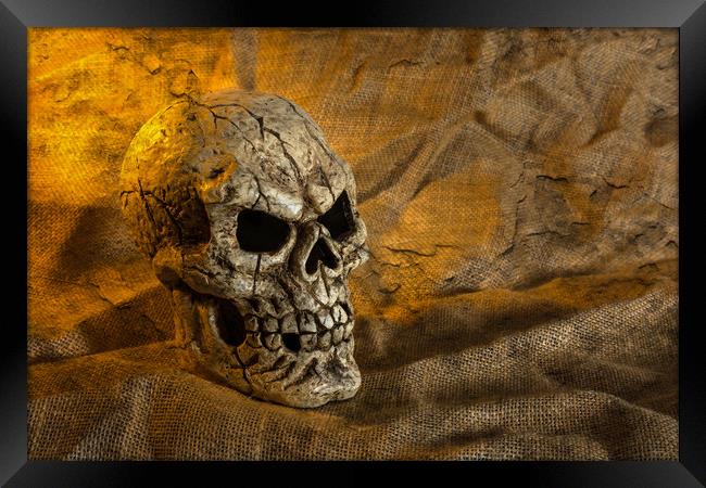 Skull And Sackcloth Framed Print by Steve Purnell