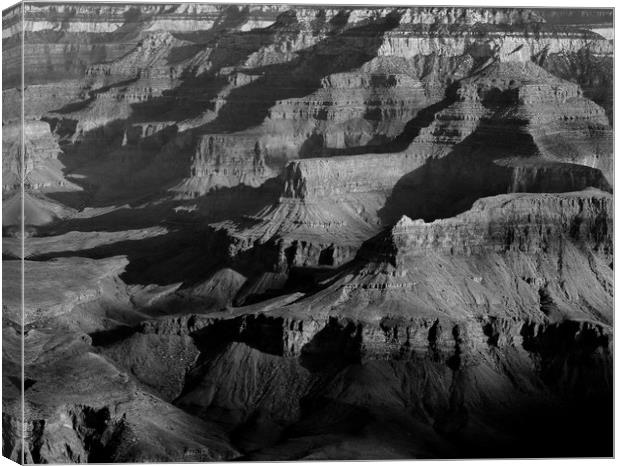 Shadows on the Silence: Grand Canyon Landscape Canvas Print by Tammy Winand