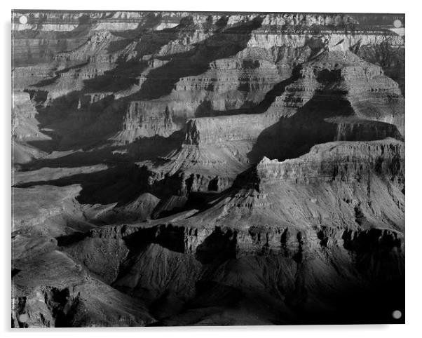 Shadows on the Silence: Grand Canyon Landscape Acrylic by Tammy Winand