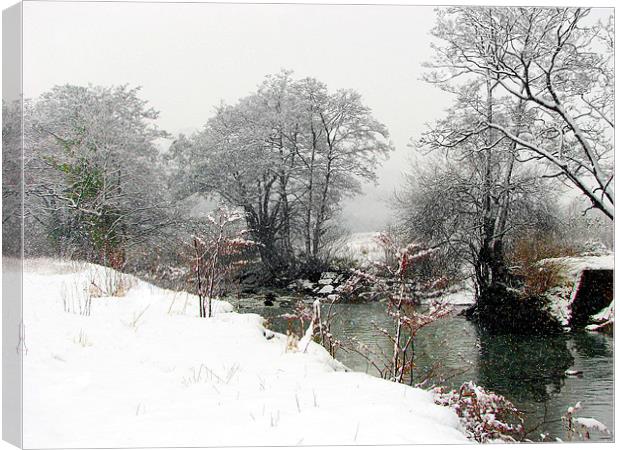 Winter and Summer Fused,Wales. Canvas Print by paulette hurley