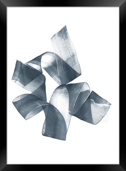 Black nylon ribbon Framed Print by Larisa Siverina