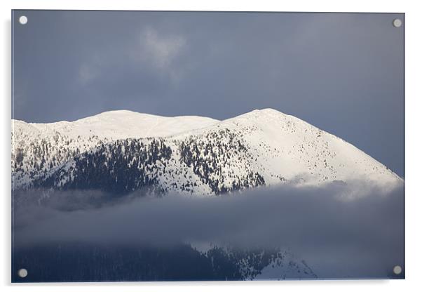 Snowy Alpine peak Acrylic by Ian Middleton