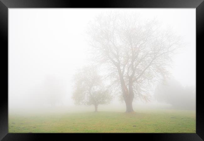 Stanton Moor Trees in the Mist  Framed Print by James Grant
