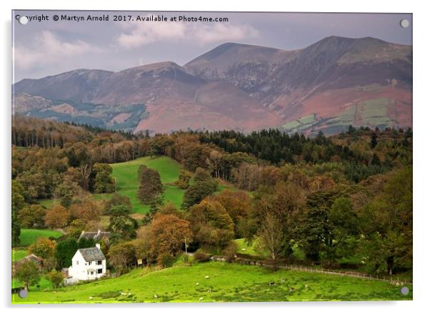 Lake district Landscape Acrylic by Martyn Arnold