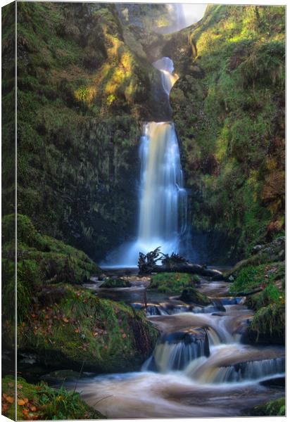 Enchanted Waterfall Canvas Print by Clive Ashton