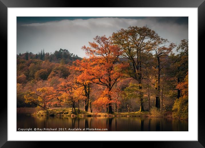 Autumn Colours at Rydal Water Framed Mounted Print by Ray Pritchard