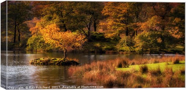 Autumn at Rydal Water Canvas Print by Ray Pritchard