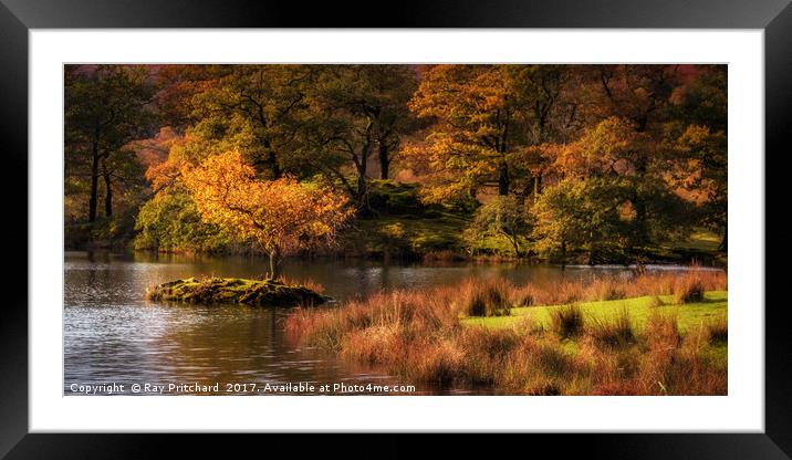 Autumn at Rydal Water Framed Mounted Print by Ray Pritchard