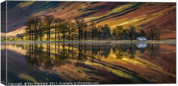 Buttermere Trees Reflected Canvas Print by Ray Pritchard