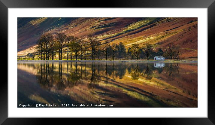 Buttermere Trees Reflected Framed Mounted Print by Ray Pritchard