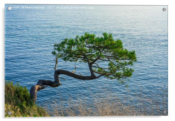Lonely tree Acrylic by Beata Aldridge