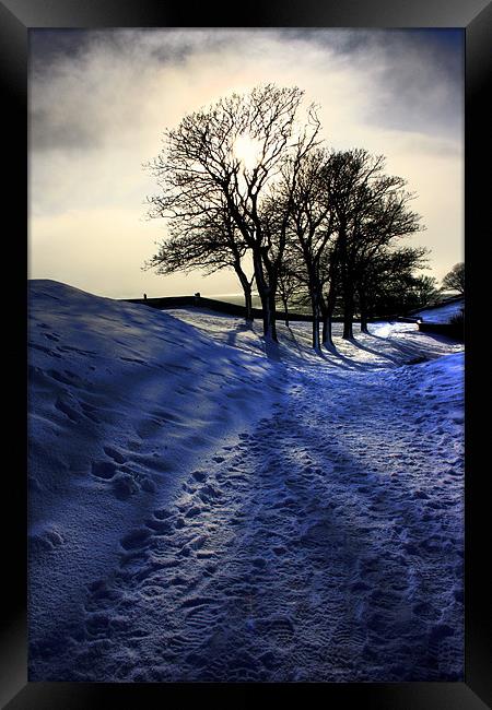 Snowy Trees, Berwick Upon Tweed Framed Print by Toon Photography