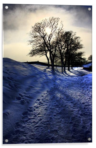 Snowy Trees, Berwick Upon Tweed Acrylic by Toon Photography