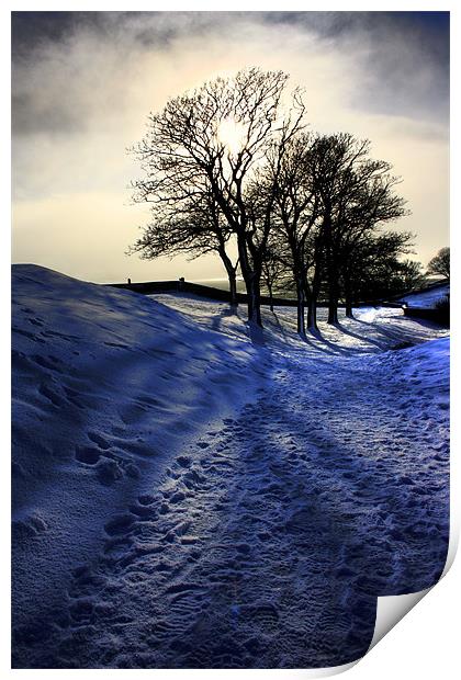Snowy Trees, Berwick Upon Tweed Print by Toon Photography