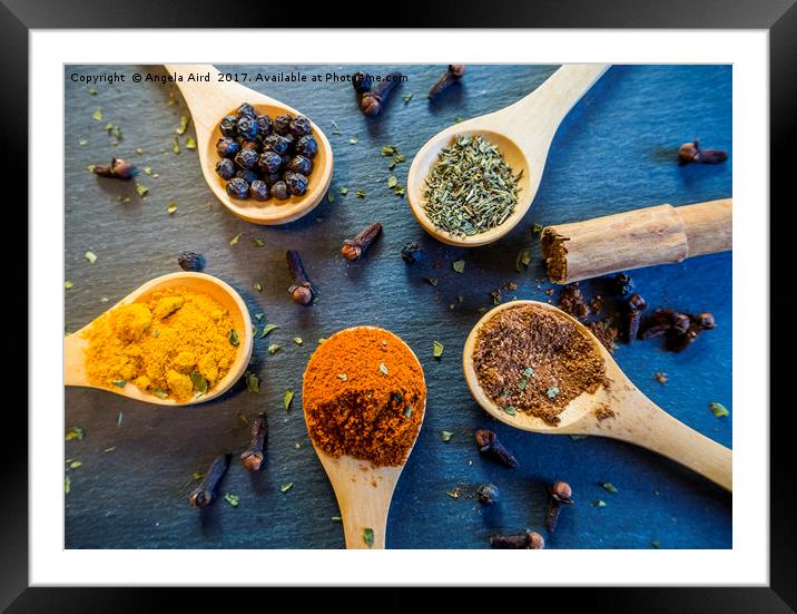  Herb and Spices. Framed Mounted Print by Angela Aird